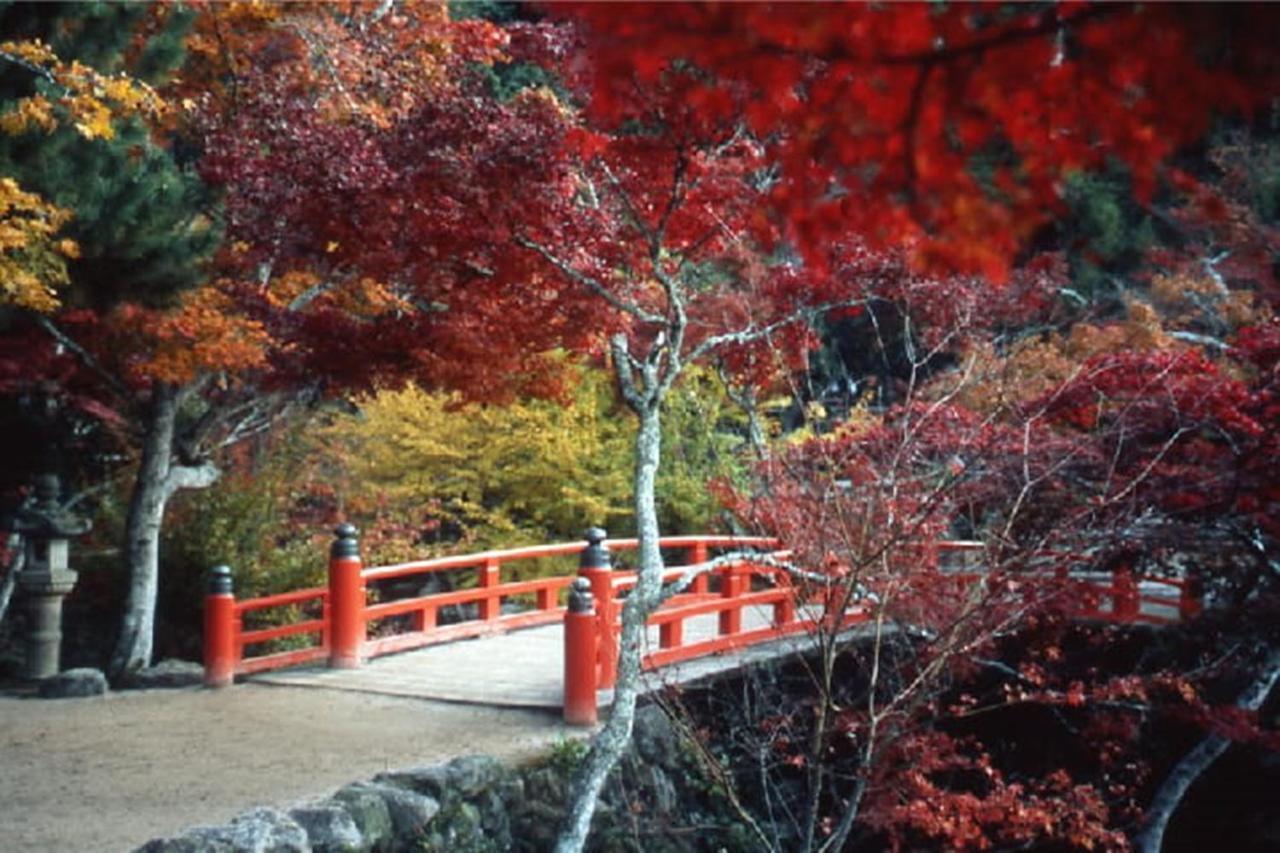 Готель Miyajima Shiro Хацукаїті Екстер'єр фото